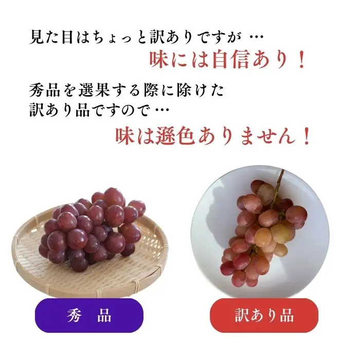 【2026年先行予約】訳あり クイーンルージュ®  約2kg（4~6房）※最低1.8kg以上｜ ぶどう ぶどう