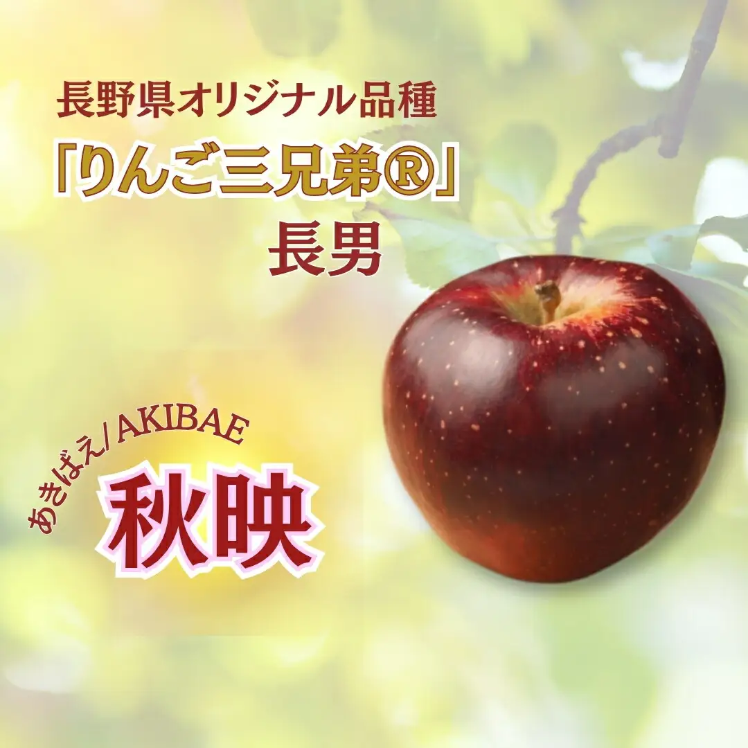 【2026年先行予約】秋映 約3kg｜りんご