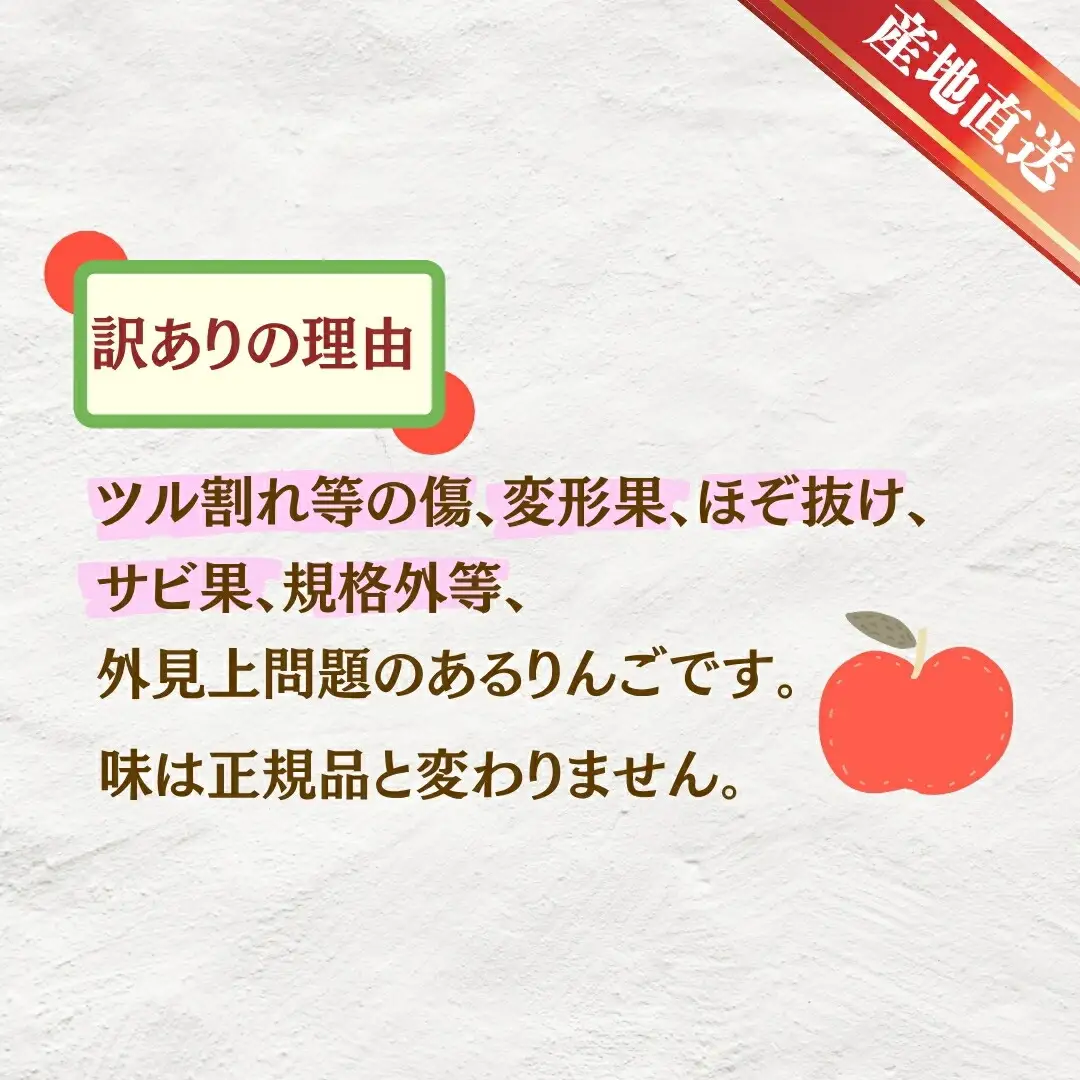 【2026年先行予約】サンふじ 約3kg  訳あり| りんご