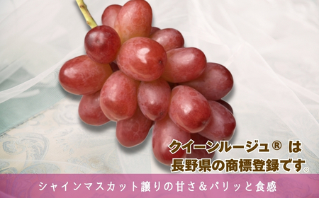 【2026年先行予約】クイーンルージュ®︎ 約2kg(3~5房)｜ ぶどう