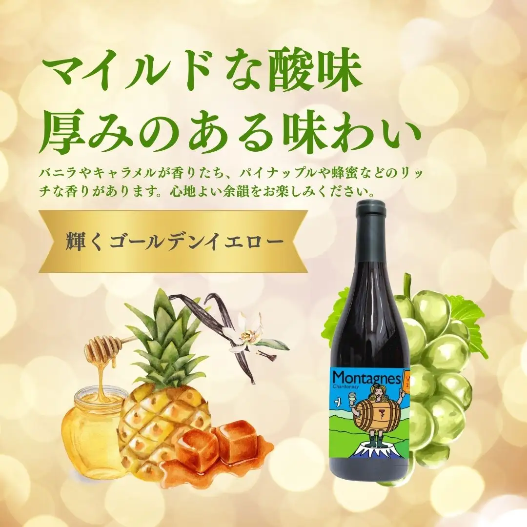 白ワイン＜モンターニュ シャルドネ＞ 750ml × 1本 ｜白ワイン