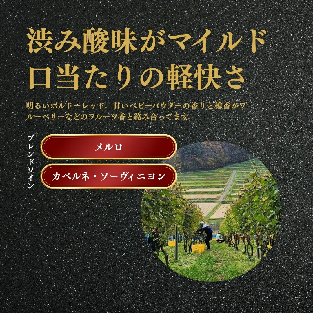 赤ワイン ＜リュンヌバリック＞ 750ml×1本 ｜赤ワイン