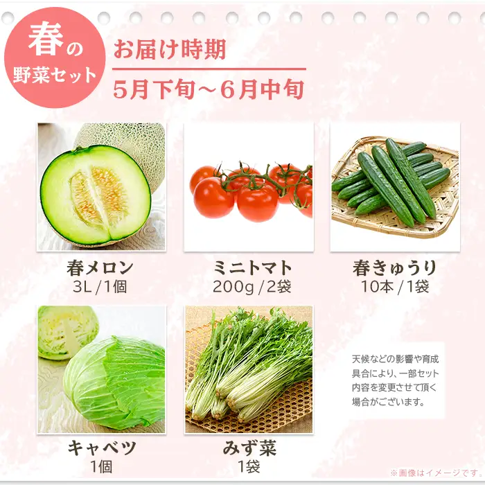 657 茨城町 春の野菜セット メロン トマト きゅうり キャベツ みず菜