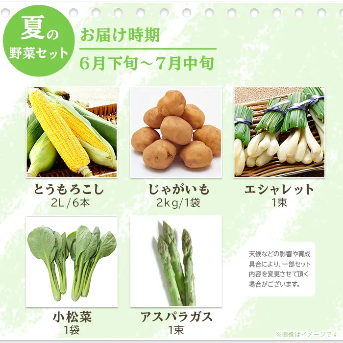 658 茨城町 夏の野菜セット とうもろこし じゃがいも エシャロット 小松菜 アスパラガス