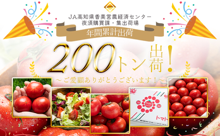 【2027年出荷分】夜須のフルーツトマト6kg 【旅サラダに取り上げられました！】 先行予約受付 期間限定 季節限定 野菜 やさい フルティカ 完熟 小ぶり 小さめ 糖度 熨斗 のし対応可 贈り物 おやつ サラダ フレッシュ 新鮮 送料無料 産地直送 高知県 香南市 yu-0074