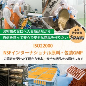 No.1286-A ＜定期便・全3回(隔月)＞GABA100(1袋 62粒入・2袋×3回 計6袋) 鹿児島 日置市 健康食品 機能性表示食品 サプリ 栄養バランス 食生活 安心安全 デスクワーク ストレス緩和 高血圧 定期便 頒布会【てまひま堂】