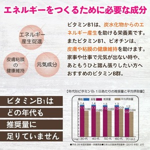 No.1300-B ＜定期便・全6回(隔月)＞ビタミンB群(2袋×6回・計12袋) 鹿児島 日置市 健康食品 サプリ 栄養バランス 食生活 安心安全 ビタミン 定期便 頒布会 【てまひま堂】