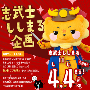 【定期便全4回】ししまる牛・豚定期便B(4ヶ月連続・計4.4kg) 黒毛和牛 国産牛 九州産 豚 豚肉 肉 牛肉 国産 4等級 小分け 真空包装 冷凍 t0051-002