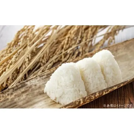 令和7年産　コシヒカリ　精米　5kg ／ 米 こめ コメ お米 ごはん コシヒカリ 精米 白米 5kg ちばエコ ちばエコ農産物 産地直送