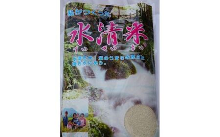 水清米（コシヒカリ）10kg｜こしひかり 米 新米 精米 こめ コメ 名水百選 国産 産地直送 期間限定 栃木県 塩谷町 ※2025年10月上旬頃より順次発送予定