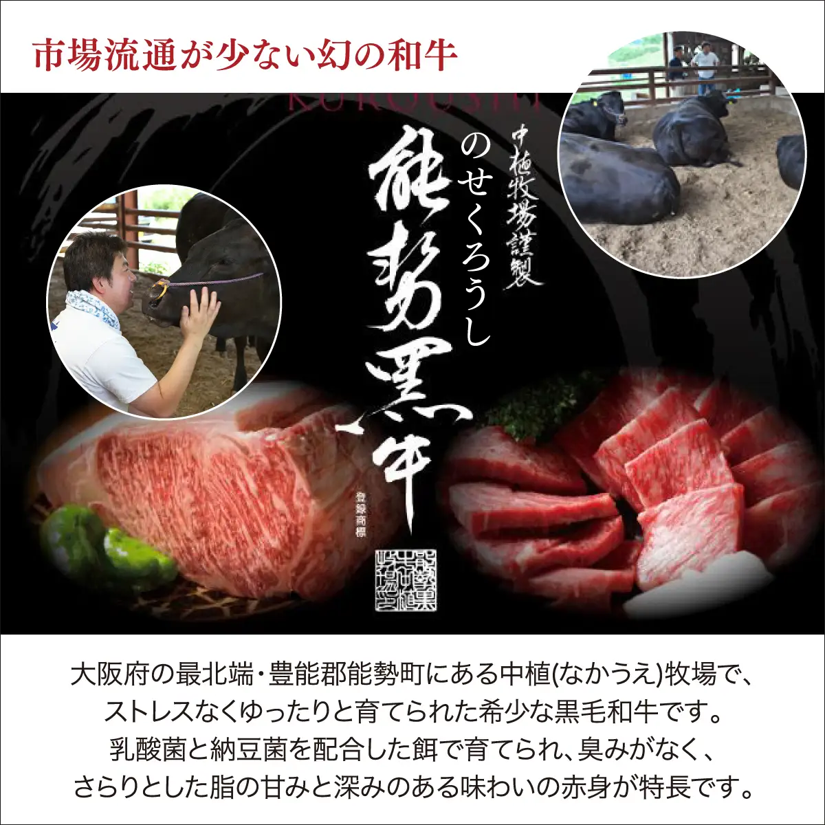 【能勢黒牛】コロッケ、ミンチカツ、ハンバーグ詰め合わせ | 中植牧場 丸昭精肉店 | 国産 牛肉  能勢黒若牛 手ごね 急速冷凍 手作り おかず 惣菜 揚げ物 詰め合わせ おすすめ  贈答 ギフト | 大阪府能勢町 送料無料