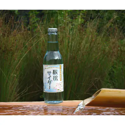 《どこか懐かしく涼やかな》 桜川サイダー 330ml × 24本 | 能勢酒造 | 国産 天然水 名水 炭酸飲料 すっきり ファミリー 子供 お取り寄せ 割り材 カクテル 老舗 | 大阪府 能勢町 送料無料