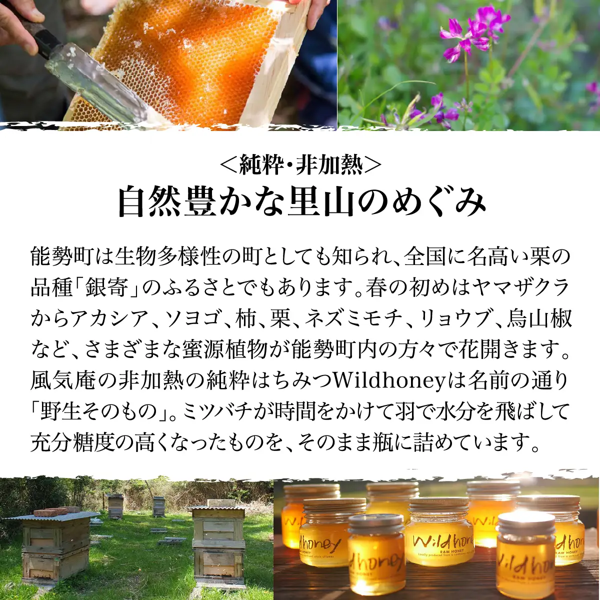 【純粋・非加熱・国産】《RAW HONEY》 風味いろいろ!季節のはちみつ4種セット (50g×4本) | 風気庵 | はちみつ 純粋 非加熱 国産 養蜂 季節 春 初夏 栗 漢方蜜 ビタミン ミネラル 人気 おすすめ 送料無料 贈答 ギフト【1277353】