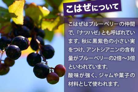 こはぜ酢 200ml×2本（上小阿仁村産こはぜ使用）果実酢 フルーツ お酢