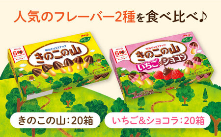 明治 きのこの山 きのこの山いちご＆ショコラ 各20箱（計40箱）[AOAA064]