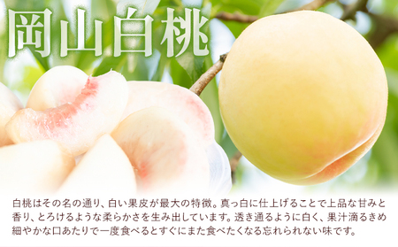 岡山白桃 5玉 ロイヤル【配送不可地域あり】　桃