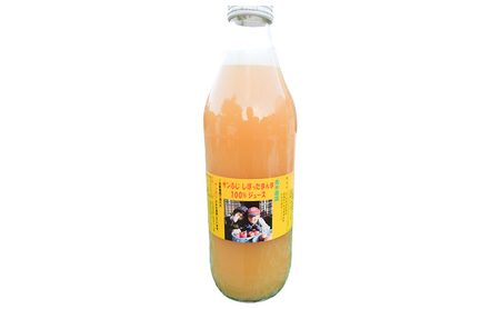 りんごジュース サンふじしぼったまんま100％ジュース200ｍｌ×1箱（20本入り）