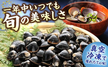 しじみ 【全12回定期便】生産量日本一！宍道湖産 ヤマトシジミMサイズ（真空冷凍） 80g×15袋 島根県松江市/有限会社日本シジミ研究所[ALBS005] しじみ しじみ