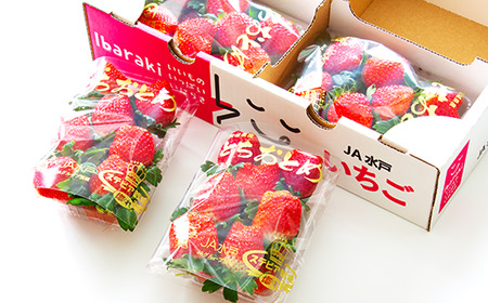 661 茨城県産いちご「とちおとめ」520g（2パック）【2026年1月中旬頃～3月下旬頃発送予定】