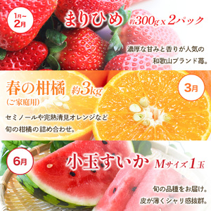 わかやま旬のくだもの定期便　全6回【Ｓ】※北海道・沖縄・離島への配送不可 （配送日時指定不可） / 定期便 フルーツ いちご イチゴ 清見オレンジ すいか 桃 柿 みかん 6回 和歌山【ard-tkb900A】