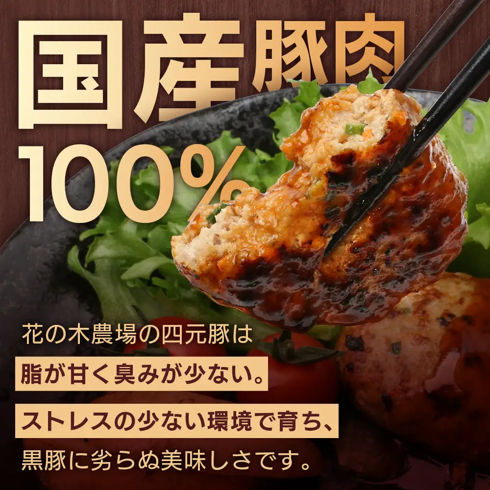 花の木農場 豚肉 ハンバーグ セット （100g×3個×6P） HK-4｜ 冷凍 ハンバーグ パック 豚肉 国産 ひき肉 お弁当 おかず 惣菜 手作り 農福連携 鹿児島県 南大隅町 第2花の木ファーム