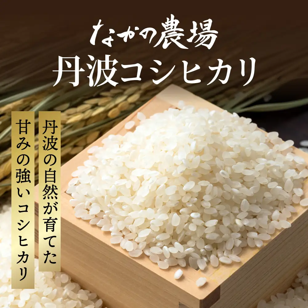 丹波コシヒカリ 白米 10kg 〈丹波市産〉 お米 白米