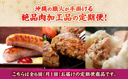 【全6回定期便】沖縄の絶品肉加工品セット【沖縄市】豚肉 ハム ソーセージ 豚まん ぶたまん ちまき 焼売 シュウマイ ハンバーグ 沖縄市 / TESIO / 豚々茶舗 / お肉屋本店[BCZZ031]