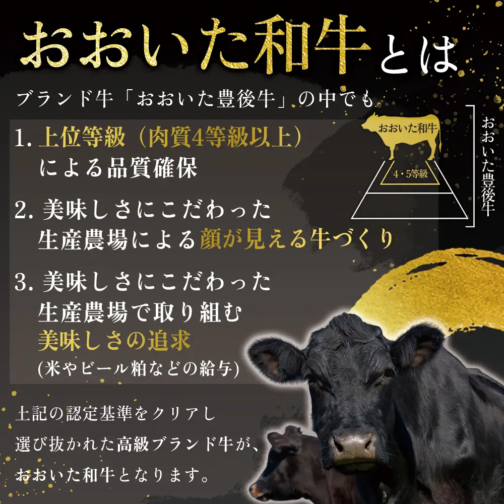 おおいた和牛ハンバーグセット【150ｇ×5】デミグラスソース付き G25-S