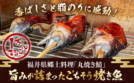 【福井県名物】丸焼き鯖 1本 【 魚 サバ  】 [e38-a004]