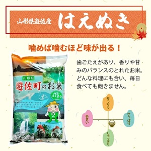 はえぬき 5kg×1袋 令和7産米 山形県遊佐産 ご希望の時期頃お届け 東北 遊佐町 庄内地方 庄内平野 米 お米 精米 白米 庄内米 ごはん ご飯 [1452R07]