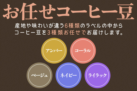 コーヒー豆 自家焙煎 ホンジュラス スペシャルティコーヒー【初回限定お試しセット】焙煎豆100g×3パック 中挽き【豆：お任せ3種類】