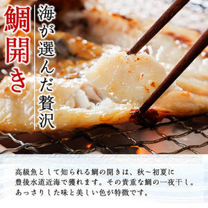 ＜定期便・全4回＞ギフト用品質！九州産 ひもの 季節の 定期便 (総計35枚) 定期 干物 鯛 かます さば サバ あじ アジ 開き 魚 海鮮 冷凍 ひもの 小分け 惣菜 おかず セット ギフト 贈り物 大分県 佐伯市【DH301】【ネクサ】