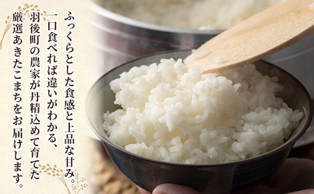 ［令和7年産］秋田県産 あきたこまち 5kg×1袋 羽後町産 [藤原商店]【 米 お米 白米 精米 あきたこまち アキタコマチ 美味しい 秋田 羽後 】