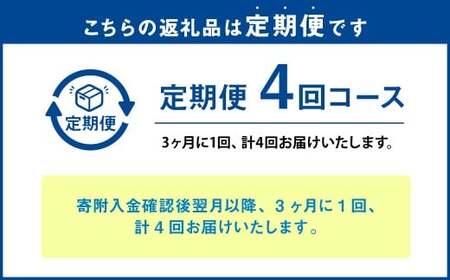 【年4回定期便】ミディ 胡蝶蘭 3本立ち 花 お花 植物 蘭 洋蘭 ラン インテリア  アレンジ アレンジメント 鑑賞 観賞用 贈答用