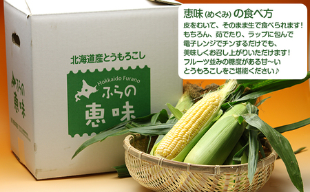【2026年夏発送】富良野産 生で食べられる とうもろこし【恵味（めぐみ）】 20本 野菜 コーン