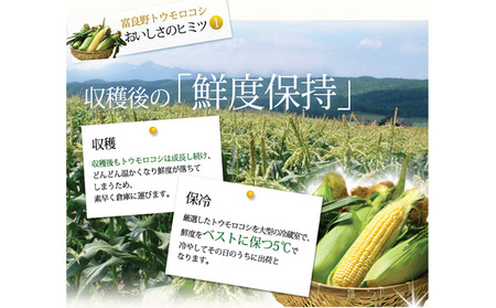 【2026年夏発送】とうもろこし 2種類セット 20本入 生で食べれる ピュアホワイト＆恵味(めぐみ)