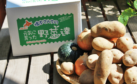 【2026年秋冬発送】富良野 野菜セット 5kg詰め 人参 かぼちゃ いも 玉ねぎ ごぼう ゆり根 米