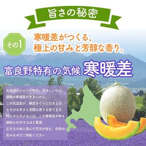 【2026年夏発送】※訳あり 富良野産 メロン 2Lサイズ 約1.6kg【1玉】フルーツ 果物