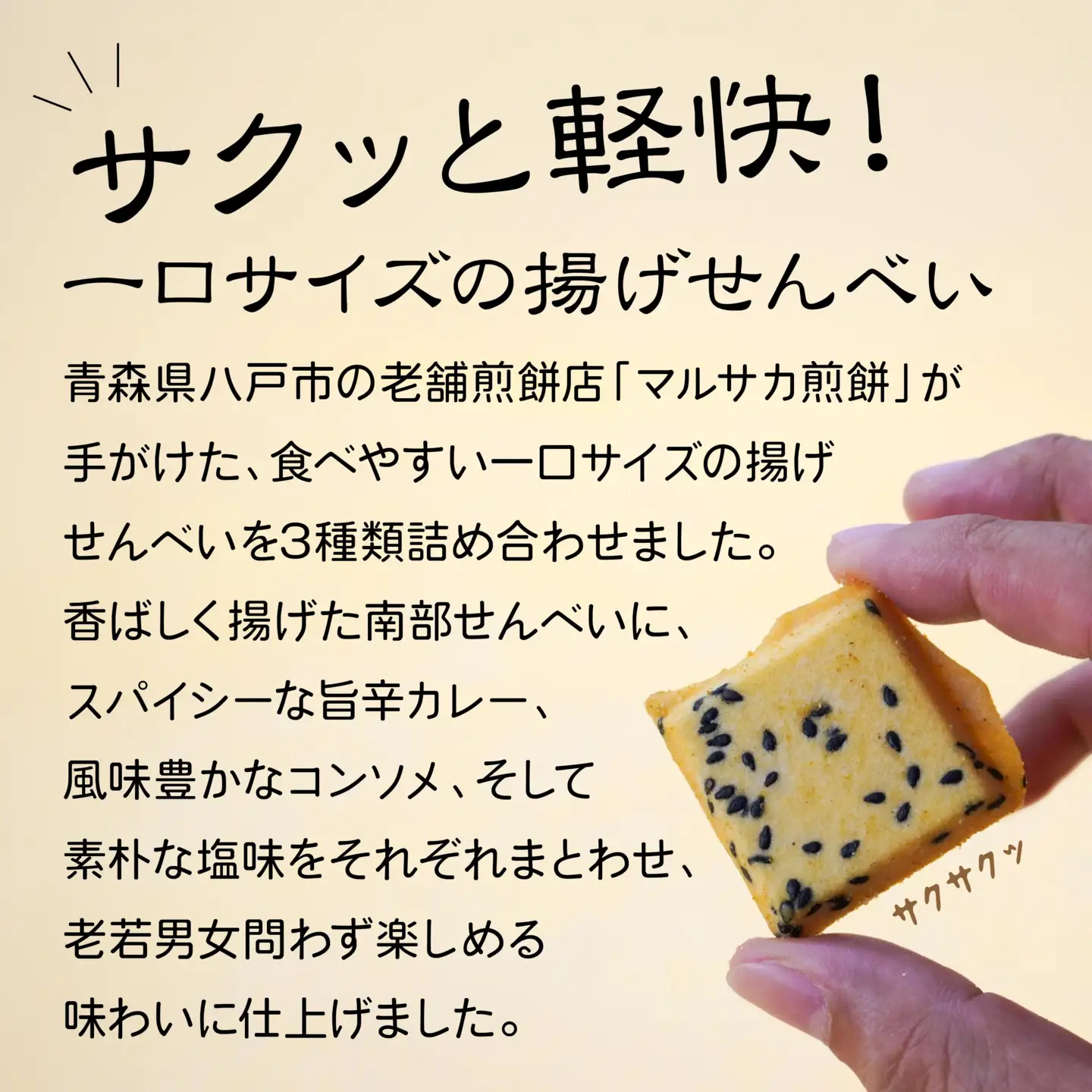 【マルサカ煎餅】 南部煎餅 一口揚せんべい 3種 セット （大辛口カレー風味・コンソメ味・塩味） 青森県 八戸市