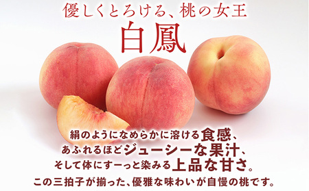 先行受付!　桃の王様【白鳳】　特秀品　約2kg　6～9個入 | 桃