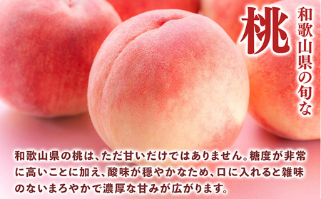 先行受付!　旬の桃　(特秀品)食べきりやすい3個入り | 桃