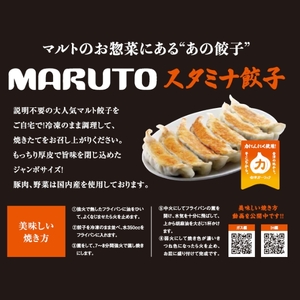 【定期便/計3回】マルトオリジナル 冷凍スタミナぎょうざ 15個入×2袋セット（30個）計90個 | 福島 いわき マルトオリジナル ジャンボぎょうざ 冷凍餃子 パンチ系餃子 食べ応え モチモチ厚皮 旨味ぎっしり おうちごはん 冷凍ストック 家庭用 お取り寄せグルメ 点心 簡単調理 冷凍食品 | EQ042-st-t3