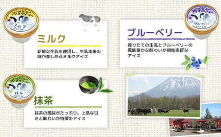 【定期便：全3回】ニセコ高橋牧場ミルク工房カップアイス3種20個セット【03130】