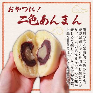 【龍福のあんまん】 二色あんまん 12個 中華まん スイーツ 和菓子