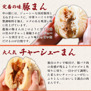 【龍福の豚まん】 食べ比べ 豚まん チャーシューまん 合計5個