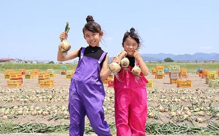 【先行予約！】あわじ島完熟たまねぎ 10㎏　◆配送６月～12月下旬