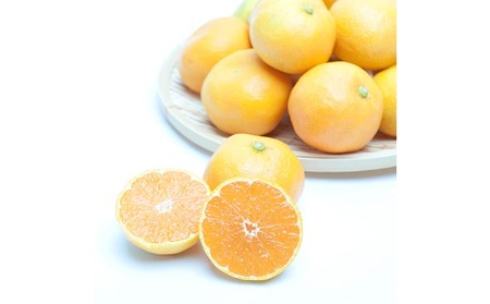 厳選 ハウスみかん0.5kg+250g（傷み補償分） | みかん