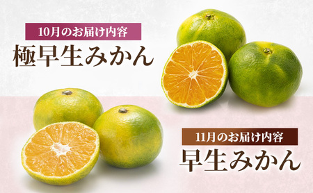 みかん 河津町旬のみかんセット ミカン セット 旬の果物 フルーツ 果実 ニューサマーオレンジ 甘夏 不知火 早生ミカン はるみ ポンカン 河津町 静岡県