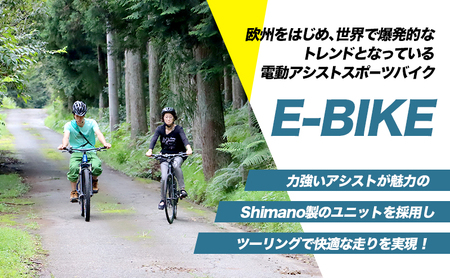 レンタサイクル E-BIKE 1日利用券 6,000円分 利用券 体験チケット 観光 自転車 アシスト付き アクティビティ 移動手段 河津町 静岡県