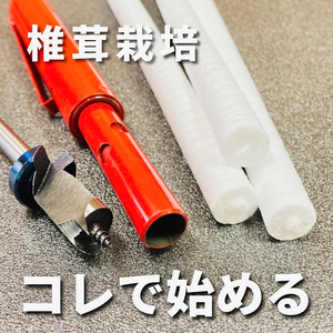 初心者用 しいたけ 栽培キット お手軽植菌棒+錐+発砲栓 椎茸 シイタケ きのこ しいたけ栽培 椎茸栽培 椎茸栽培キット しいたけ栽培セット きのこ栽培 きのこ栽培キット 栽培 体験 淡路島 洲本市